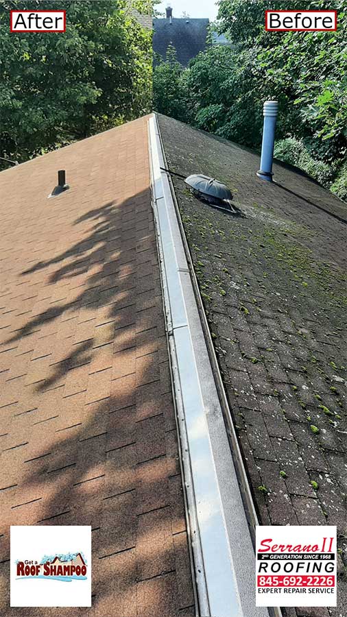 Removing Moss with Roof Shampoo in Middletown, NY Thumbnail