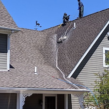 Roof Cleaning to Remove Algae in Warwick, NY 7